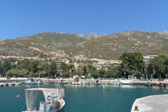 IMG_9147